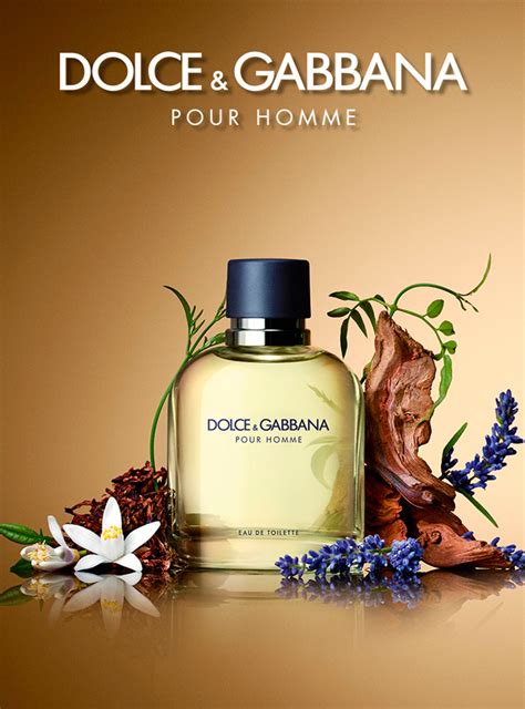 d&g pour homme fragrantica